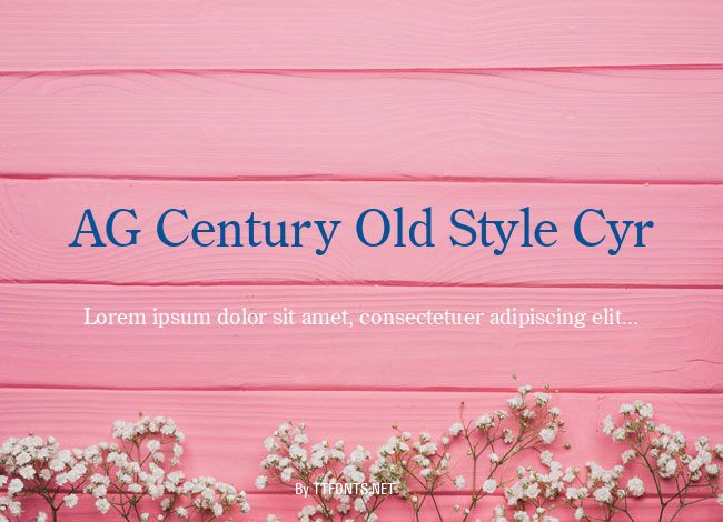 AG Century Old Style Cyr example